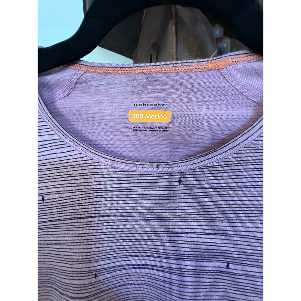 • Icebreaker 200 Oasis Merino Long Sleeve Base Layer Top NWOT M Gorpcore Ski - Picture 2 of 7